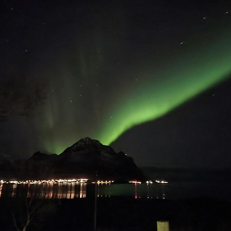 Nappstraumen Seaview Holiday Home Haug Buitenkant foto